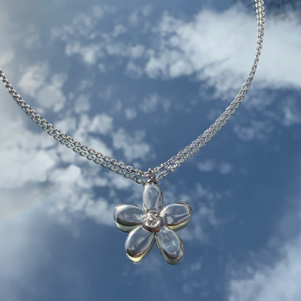 smile five petals flower