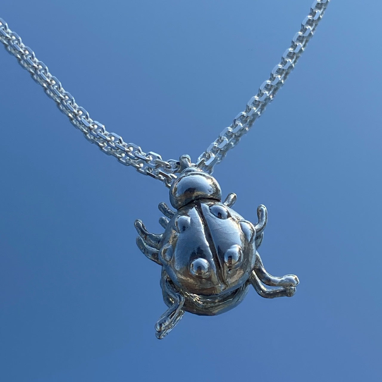 Ladybird necklace